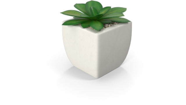 Dynamic_Media_____Your_benefits___flower.png